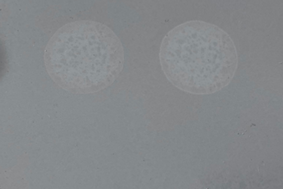 carbamate white discoloration