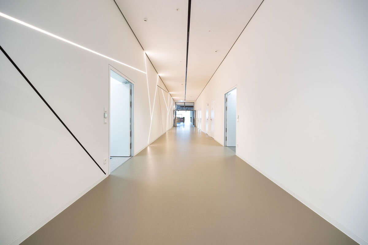 Beautiful interplay of elements in the hallway