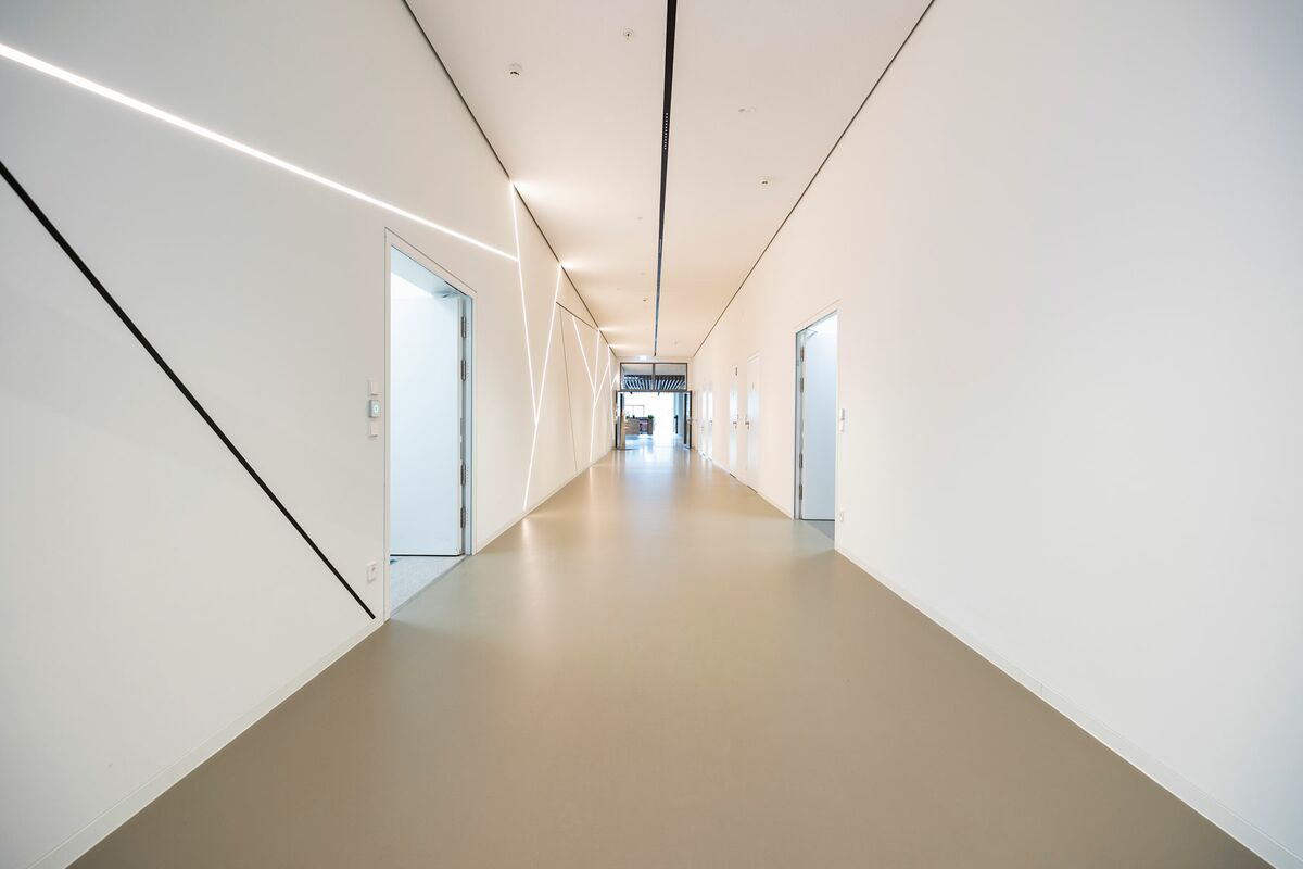 Beautiful interplay of elements in the hallway